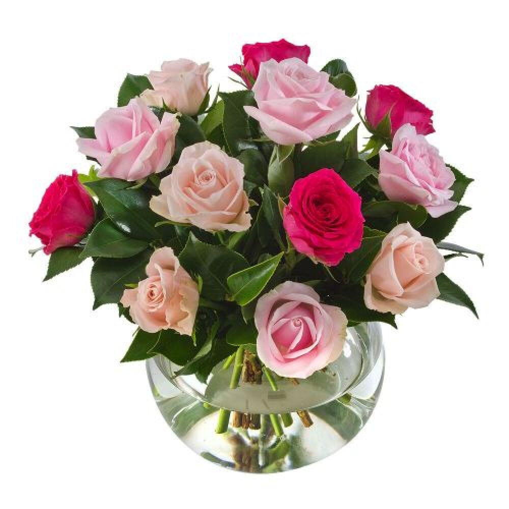 mix roses