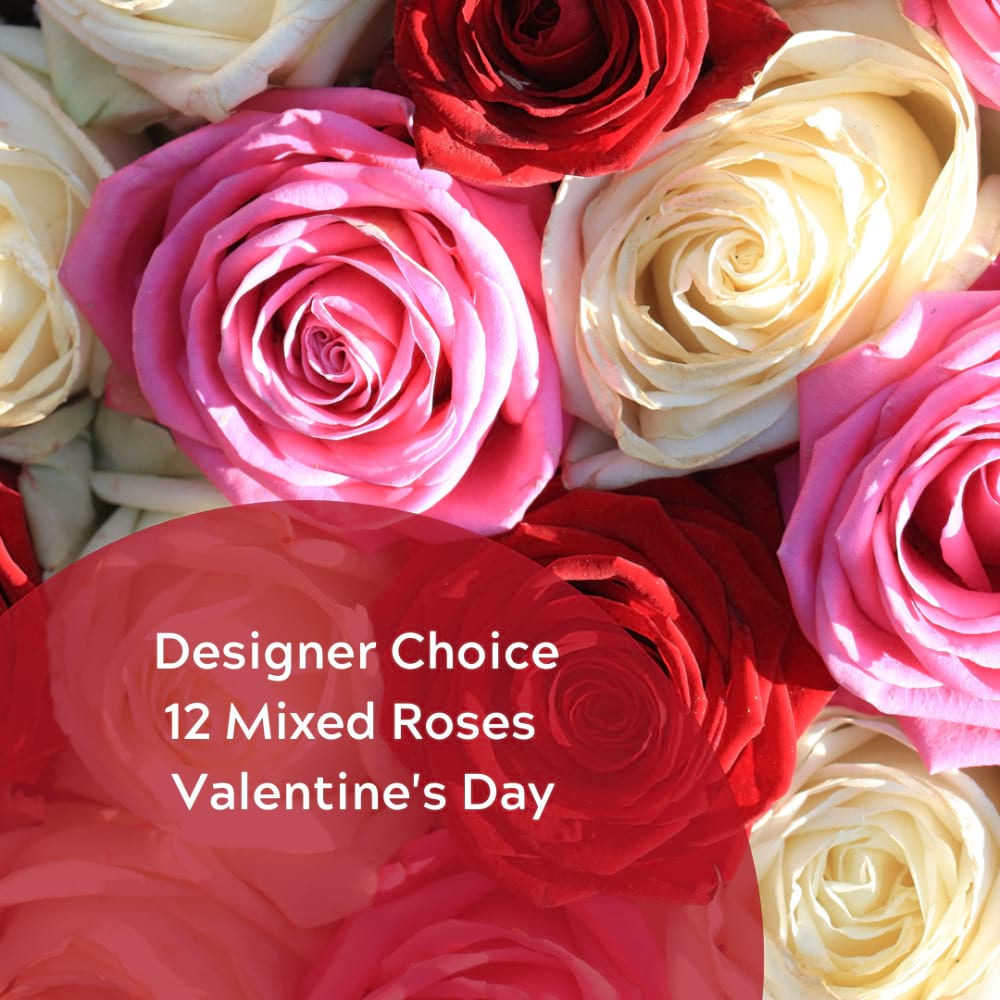 Designer`s Choice Bouquet | 12 x Mixed Colour Rose Bouquet