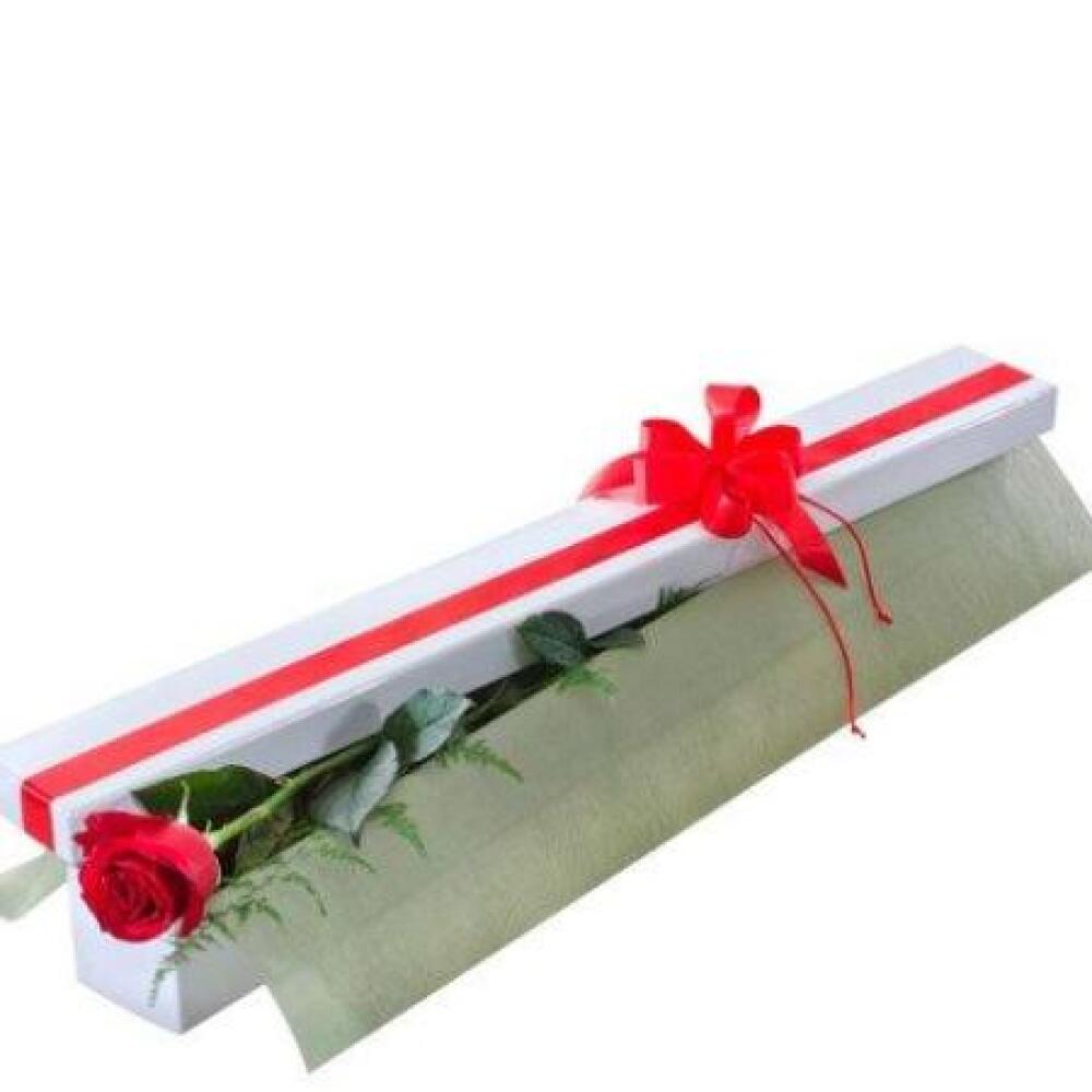 single rose box